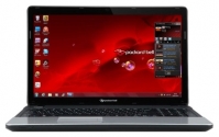 Packard Bell EasyNote TE11 (Celeron B815 1600 Mhz/15.6