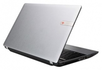 Packard Bell EasyNote TM82 (Athlon II P320 2100 Mhz/15.6