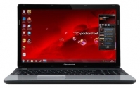 Packard Bell EasyNote TE11 AMD ENTE11BZ-260RU (E1 1200 1400 Mhz/15.6