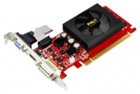 Palit GeForce 210 475Mhz PCI-E 2.0 1024Mo 1070Mhz 128 bit DVI HDMI HDCP image, Palit GeForce 210 475Mhz PCI-E 2.0 1024Mo 1070Mhz 128 bit DVI HDMI HDCP images, Palit GeForce 210 475Mhz PCI-E 2.0 1024Mo 1070Mhz 128 bit DVI HDMI HDCP photos, Palit GeForce 210 475Mhz PCI-E 2.0 1024Mo 1070Mhz 128 bit DVI HDMI HDCP photo, Palit GeForce 210 475Mhz PCI-E 2.0 1024Mo 1070Mhz 128 bit DVI HDMI HDCP picture, Palit GeForce 210 475Mhz PCI-E 2.0 1024Mo 1070Mhz 128 bit DVI HDMI HDCP pictures