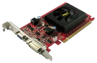 Palit GeForce 9500 GT 550Mhz PCI-E 2.0 1024Mo 800Mhz 128 bit DVI HDCP avis, Palit GeForce 9500 GT 550Mhz PCI-E 2.0 1024Mo 800Mhz 128 bit DVI HDCP prix, Palit GeForce 9500 GT 550Mhz PCI-E 2.0 1024Mo 800Mhz 128 bit DVI HDCP caractéristiques, Palit GeForce 9500 GT 550Mhz PCI-E 2.0 1024Mo 800Mhz 128 bit DVI HDCP Fiche, Palit GeForce 9500 GT 550Mhz PCI-E 2.0 1024Mo 800Mhz 128 bit DVI HDCP Fiche technique, Palit GeForce 9500 GT 550Mhz PCI-E 2.0 1024Mo 800Mhz 128 bit DVI HDCP achat, Palit GeForce 9500 GT 550Mhz PCI-E 2.0 1024Mo 800Mhz 128 bit DVI HDCP acheter, Palit GeForce 9500 GT 550Mhz PCI-E 2.0 1024Mo 800Mhz 128 bit DVI HDCP Carte graphique