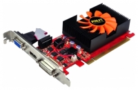 Palit GeForce GT 440 780Mhz PCI-E 2.0 1024Mo 1600Mhz 128 bit DVI HDMI HDCP image, Palit GeForce GT 440 780Mhz PCI-E 2.0 1024Mo 1600Mhz 128 bit DVI HDMI HDCP images, Palit GeForce GT 440 780Mhz PCI-E 2.0 1024Mo 1600Mhz 128 bit DVI HDMI HDCP photos, Palit GeForce GT 440 780Mhz PCI-E 2.0 1024Mo 1600Mhz 128 bit DVI HDMI HDCP photo, Palit GeForce GT 440 780Mhz PCI-E 2.0 1024Mo 1600Mhz 128 bit DVI HDMI HDCP picture, Palit GeForce GT 440 780Mhz PCI-E 2.0 1024Mo 1600Mhz 128 bit DVI HDMI HDCP pictures