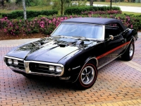 Pontiac Firebird Convertible (1 generation) 4.1 3MT (175hp) avis, Pontiac Firebird Convertible (1 generation) 4.1 3MT (175hp) prix, Pontiac Firebird Convertible (1 generation) 4.1 3MT (175hp) caractéristiques, Pontiac Firebird Convertible (1 generation) 4.1 3MT (175hp) Fiche, Pontiac Firebird Convertible (1 generation) 4.1 3MT (175hp) Fiche technique, Pontiac Firebird Convertible (1 generation) 4.1 3MT (175hp) achat, Pontiac Firebird Convertible (1 generation) 4.1 3MT (175hp) acheter, Pontiac Firebird Convertible (1 generation) 4.1 3MT (175hp) Auto