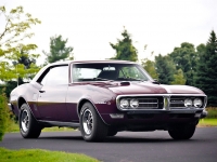 Pontiac Firebird Coupe (1 generation) 4.1 3MT (175hp) image, Pontiac Firebird Coupe (1 generation) 4.1 3MT (175hp) images, Pontiac Firebird Coupe (1 generation) 4.1 3MT (175hp) photos, Pontiac Firebird Coupe (1 generation) 4.1 3MT (175hp) photo, Pontiac Firebird Coupe (1 generation) 4.1 3MT (175hp) picture, Pontiac Firebird Coupe (1 generation) 4.1 3MT (175hp) pictures