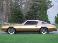 Pontiac Firebird Esprit coupe 2-door (2 generation) 3.8 MT (117hp) image, Pontiac Firebird Esprit coupe 2-door (2 generation) 3.8 MT (117hp) images, Pontiac Firebird Esprit coupe 2-door (2 generation) 3.8 MT (117hp) photos, Pontiac Firebird Esprit coupe 2-door (2 generation) 3.8 MT (117hp) photo, Pontiac Firebird Esprit coupe 2-door (2 generation) 3.8 MT (117hp) picture, Pontiac Firebird Esprit coupe 2-door (2 generation) 3.8 MT (117hp) pictures