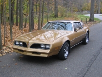 Pontiac Firebird Esprit coupe 2-door (2 generation) 3.8 MT (117hp) image, Pontiac Firebird Esprit coupe 2-door (2 generation) 3.8 MT (117hp) images, Pontiac Firebird Esprit coupe 2-door (2 generation) 3.8 MT (117hp) photos, Pontiac Firebird Esprit coupe 2-door (2 generation) 3.8 MT (117hp) photo, Pontiac Firebird Esprit coupe 2-door (2 generation) 3.8 MT (117hp) picture, Pontiac Firebird Esprit coupe 2-door (2 generation) 3.8 MT (117hp) pictures