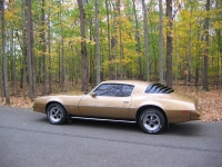 Pontiac Firebird Esprit coupe 2-door (2 generation) 4.9 MT (137hp) image, Pontiac Firebird Esprit coupe 2-door (2 generation) 4.9 MT (137hp) images, Pontiac Firebird Esprit coupe 2-door (2 generation) 4.9 MT (137hp) photos, Pontiac Firebird Esprit coupe 2-door (2 generation) 4.9 MT (137hp) photo, Pontiac Firebird Esprit coupe 2-door (2 generation) 4.9 MT (137hp) picture, Pontiac Firebird Esprit coupe 2-door (2 generation) 4.9 MT (137hp) pictures