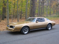 Pontiac Firebird Esprit coupe 2-door (2 generation) 5.0 MT (127hp) image, Pontiac Firebird Esprit coupe 2-door (2 generation) 5.0 MT (127hp) images, Pontiac Firebird Esprit coupe 2-door (2 generation) 5.0 MT (127hp) photos, Pontiac Firebird Esprit coupe 2-door (2 generation) 5.0 MT (127hp) photo, Pontiac Firebird Esprit coupe 2-door (2 generation) 5.0 MT (127hp) picture, Pontiac Firebird Esprit coupe 2-door (2 generation) 5.0 MT (127hp) pictures