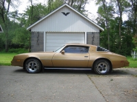 Pontiac Firebird Esprit coupe 2-door (2 generation) AT 3.8 (117hp) image, Pontiac Firebird Esprit coupe 2-door (2 generation) AT 3.8 (117hp) images, Pontiac Firebird Esprit coupe 2-door (2 generation) AT 3.8 (117hp) photos, Pontiac Firebird Esprit coupe 2-door (2 generation) AT 3.8 (117hp) photo, Pontiac Firebird Esprit coupe 2-door (2 generation) AT 3.8 (117hp) picture, Pontiac Firebird Esprit coupe 2-door (2 generation) AT 3.8 (117hp) pictures