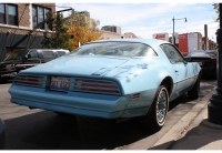 Pontiac Firebird Esprit Skybird coupe 2-door (2 generation) 4.9 MT (137hp) image, Pontiac Firebird Esprit Skybird coupe 2-door (2 generation) 4.9 MT (137hp) images, Pontiac Firebird Esprit Skybird coupe 2-door (2 generation) 4.9 MT (137hp) photos, Pontiac Firebird Esprit Skybird coupe 2-door (2 generation) 4.9 MT (137hp) photo, Pontiac Firebird Esprit Skybird coupe 2-door (2 generation) 4.9 MT (137hp) picture, Pontiac Firebird Esprit Skybird coupe 2-door (2 generation) 4.9 MT (137hp) pictures