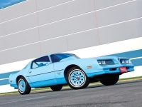 Pontiac Firebird Esprit Skybird coupe 2-door (2 generation) AT 3.8 (117hp) image, Pontiac Firebird Esprit Skybird coupe 2-door (2 generation) AT 3.8 (117hp) images, Pontiac Firebird Esprit Skybird coupe 2-door (2 generation) AT 3.8 (117hp) photos, Pontiac Firebird Esprit Skybird coupe 2-door (2 generation) AT 3.8 (117hp) photo, Pontiac Firebird Esprit Skybird coupe 2-door (2 generation) AT 3.8 (117hp) picture, Pontiac Firebird Esprit Skybird coupe 2-door (2 generation) AT 3.8 (117hp) pictures