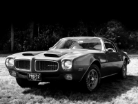 Pontiac Firebird Formula coupe 2-door (2 generation) 5.7 Hydra-Matic (175hp '72) image, Pontiac Firebird Formula coupe 2-door (2 generation) 5.7 Hydra-Matic (175hp '72) images, Pontiac Firebird Formula coupe 2-door (2 generation) 5.7 Hydra-Matic (175hp '72) photos, Pontiac Firebird Formula coupe 2-door (2 generation) 5.7 Hydra-Matic (175hp '72) photo, Pontiac Firebird Formula coupe 2-door (2 generation) 5.7 Hydra-Matic (175hp '72) picture, Pontiac Firebird Formula coupe 2-door (2 generation) 5.7 Hydra-Matic (175hp '72) pictures