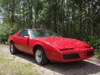 Pontiac Firebird T-Roof Targa 2-door (3 generation) 2.5 4MT (91hp) image, Pontiac Firebird T-Roof Targa 2-door (3 generation) 2.5 4MT (91hp) images, Pontiac Firebird T-Roof Targa 2-door (3 generation) 2.5 4MT (91hp) photos, Pontiac Firebird T-Roof Targa 2-door (3 generation) 2.5 4MT (91hp) photo, Pontiac Firebird T-Roof Targa 2-door (3 generation) 2.5 4MT (91hp) picture, Pontiac Firebird T-Roof Targa 2-door (3 generation) 2.5 4MT (91hp) pictures