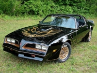 Pontiac Firebird Trans Am Black Special Edition T-Roof Targa 2-door (2 generation) 6.6 MT (188 HP) image, Pontiac Firebird Trans Am Black Special Edition T-Roof Targa 2-door (2 generation) 6.6 MT (188 HP) images, Pontiac Firebird Trans Am Black Special Edition T-Roof Targa 2-door (2 generation) 6.6 MT (188 HP) photos, Pontiac Firebird Trans Am Black Special Edition T-Roof Targa 2-door (2 generation) 6.6 MT (188 HP) photo, Pontiac Firebird Trans Am Black Special Edition T-Roof Targa 2-door (2 generation) 6.6 MT (188 HP) picture, Pontiac Firebird Trans Am Black Special Edition T-Roof Targa 2-door (2 generation) 6.6 MT (188 HP) pictures