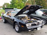 Pontiac Firebird Trans Am Black Special Edition T-Roof Targa 2-door (2 generation) 6.6 MT (223 HP) image, Pontiac Firebird Trans Am Black Special Edition T-Roof Targa 2-door (2 generation) 6.6 MT (223 HP) images, Pontiac Firebird Trans Am Black Special Edition T-Roof Targa 2-door (2 generation) 6.6 MT (223 HP) photos, Pontiac Firebird Trans Am Black Special Edition T-Roof Targa 2-door (2 generation) 6.6 MT (223 HP) photo, Pontiac Firebird Trans Am Black Special Edition T-Roof Targa 2-door (2 generation) 6.6 MT (223 HP) picture, Pontiac Firebird Trans Am Black Special Edition T-Roof Targa 2-door (2 generation) 6.6 MT (223 HP) pictures