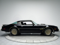 Pontiac Firebird Trans Am Black Special Edition T-Roof Targa 2-door (2 generation) AT 6.6 (223 HP) image, Pontiac Firebird Trans Am Black Special Edition T-Roof Targa 2-door (2 generation) AT 6.6 (223 HP) images, Pontiac Firebird Trans Am Black Special Edition T-Roof Targa 2-door (2 generation) AT 6.6 (223 HP) photos, Pontiac Firebird Trans Am Black Special Edition T-Roof Targa 2-door (2 generation) AT 6.6 (223 HP) photo, Pontiac Firebird Trans Am Black Special Edition T-Roof Targa 2-door (2 generation) AT 6.6 (223 HP) picture, Pontiac Firebird Trans Am Black Special Edition T-Roof Targa 2-door (2 generation) AT 6.6 (223 HP) pictures