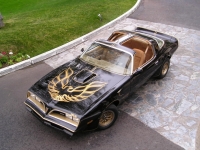 Pontiac Firebird Trans Am Black Special Edition T-Roof Targa 2-door (2 generation) AT 6.6 (223 HP) image, Pontiac Firebird Trans Am Black Special Edition T-Roof Targa 2-door (2 generation) AT 6.6 (223 HP) images, Pontiac Firebird Trans Am Black Special Edition T-Roof Targa 2-door (2 generation) AT 6.6 (223 HP) photos, Pontiac Firebird Trans Am Black Special Edition T-Roof Targa 2-door (2 generation) AT 6.6 (223 HP) photo, Pontiac Firebird Trans Am Black Special Edition T-Roof Targa 2-door (2 generation) AT 6.6 (223 HP) picture, Pontiac Firebird Trans Am Black Special Edition T-Roof Targa 2-door (2 generation) AT 6.6 (223 HP) pictures