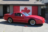 Pontiac Firebird Trans Am coupe (3rd generation) 3.8 Turbo AT image, Pontiac Firebird Trans Am coupe (3rd generation) 3.8 Turbo AT images, Pontiac Firebird Trans Am coupe (3rd generation) 3.8 Turbo AT photos, Pontiac Firebird Trans Am coupe (3rd generation) 3.8 Turbo AT photo, Pontiac Firebird Trans Am coupe (3rd generation) 3.8 Turbo AT picture, Pontiac Firebird Trans Am coupe (3rd generation) 3.8 Turbo AT pictures