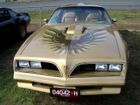 Pontiac Firebird Trans Am Gold Special Edition T-Roof Targa 2-door (2 generation) 6.6 MT (188 HP) image, Pontiac Firebird Trans Am Gold Special Edition T-Roof Targa 2-door (2 generation) 6.6 MT (188 HP) images, Pontiac Firebird Trans Am Gold Special Edition T-Roof Targa 2-door (2 generation) 6.6 MT (188 HP) photos, Pontiac Firebird Trans Am Gold Special Edition T-Roof Targa 2-door (2 generation) 6.6 MT (188 HP) photo, Pontiac Firebird Trans Am Gold Special Edition T-Roof Targa 2-door (2 generation) 6.6 MT (188 HP) picture, Pontiac Firebird Trans Am Gold Special Edition T-Roof Targa 2-door (2 generation) 6.6 MT (188 HP) pictures