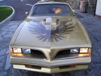 Pontiac Firebird Trans Am Gold Special Edition T-Roof Targa 2-door (2 generation) 6.6 MT (188 HP) avis, Pontiac Firebird Trans Am Gold Special Edition T-Roof Targa 2-door (2 generation) 6.6 MT (188 HP) prix, Pontiac Firebird Trans Am Gold Special Edition T-Roof Targa 2-door (2 generation) 6.6 MT (188 HP) caractéristiques, Pontiac Firebird Trans Am Gold Special Edition T-Roof Targa 2-door (2 generation) 6.6 MT (188 HP) Fiche, Pontiac Firebird Trans Am Gold Special Edition T-Roof Targa 2-door (2 generation) 6.6 MT (188 HP) Fiche technique, Pontiac Firebird Trans Am Gold Special Edition T-Roof Targa 2-door (2 generation) 6.6 MT (188 HP) achat, Pontiac Firebird Trans Am Gold Special Edition T-Roof Targa 2-door (2 generation) 6.6 MT (188 HP) acheter, Pontiac Firebird Trans Am Gold Special Edition T-Roof Targa 2-door (2 generation) 6.6 MT (188 HP) Auto