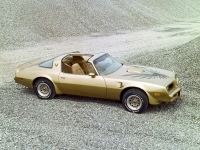 Pontiac Firebird Trans Am Gold Special Edition T-Roof Targa 2-door (2 generation) AT 6.6 (223 HP) image, Pontiac Firebird Trans Am Gold Special Edition T-Roof Targa 2-door (2 generation) AT 6.6 (223 HP) images, Pontiac Firebird Trans Am Gold Special Edition T-Roof Targa 2-door (2 generation) AT 6.6 (223 HP) photos, Pontiac Firebird Trans Am Gold Special Edition T-Roof Targa 2-door (2 generation) AT 6.6 (223 HP) photo, Pontiac Firebird Trans Am Gold Special Edition T-Roof Targa 2-door (2 generation) AT 6.6 (223 HP) picture, Pontiac Firebird Trans Am Gold Special Edition T-Roof Targa 2-door (2 generation) AT 6.6 (223 HP) pictures