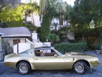 Pontiac Firebird Trans Am Gold Special Edition T-Roof Targa 2-door (2 generation) AT 6.6 (223 HP) image, Pontiac Firebird Trans Am Gold Special Edition T-Roof Targa 2-door (2 generation) AT 6.6 (223 HP) images, Pontiac Firebird Trans Am Gold Special Edition T-Roof Targa 2-door (2 generation) AT 6.6 (223 HP) photos, Pontiac Firebird Trans Am Gold Special Edition T-Roof Targa 2-door (2 generation) AT 6.6 (223 HP) photo, Pontiac Firebird Trans Am Gold Special Edition T-Roof Targa 2-door (2 generation) AT 6.6 (223 HP) picture, Pontiac Firebird Trans Am Gold Special Edition T-Roof Targa 2-door (2 generation) AT 6.6 (223 HP) pictures