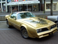 Pontiac Firebird Trans Am Gold Special Edition T-Roof Targa 2-door (2 generation) AT 6.6 (223 HP) image, Pontiac Firebird Trans Am Gold Special Edition T-Roof Targa 2-door (2 generation) AT 6.6 (223 HP) images, Pontiac Firebird Trans Am Gold Special Edition T-Roof Targa 2-door (2 generation) AT 6.6 (223 HP) photos, Pontiac Firebird Trans Am Gold Special Edition T-Roof Targa 2-door (2 generation) AT 6.6 (223 HP) photo, Pontiac Firebird Trans Am Gold Special Edition T-Roof Targa 2-door (2 generation) AT 6.6 (223 HP) picture, Pontiac Firebird Trans Am Gold Special Edition T-Roof Targa 2-door (2 generation) AT 6.6 (223 HP) pictures