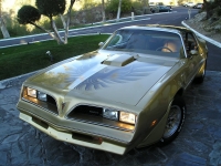 Pontiac Firebird Trans Am Gold Special Edition T-Roof Targa 2-door (2 generation) AT 6.6 (223 HP) image, Pontiac Firebird Trans Am Gold Special Edition T-Roof Targa 2-door (2 generation) AT 6.6 (223 HP) images, Pontiac Firebird Trans Am Gold Special Edition T-Roof Targa 2-door (2 generation) AT 6.6 (223 HP) photos, Pontiac Firebird Trans Am Gold Special Edition T-Roof Targa 2-door (2 generation) AT 6.6 (223 HP) photo, Pontiac Firebird Trans Am Gold Special Edition T-Roof Targa 2-door (2 generation) AT 6.6 (223 HP) picture, Pontiac Firebird Trans Am Gold Special Edition T-Roof Targa 2-door (2 generation) AT 6.6 (223 HP) pictures