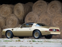 Pontiac Firebird Trans Am Gold Special Edition T-Roof Targa 2-door (2 generation) AT 6.6 (223 HP) image, Pontiac Firebird Trans Am Gold Special Edition T-Roof Targa 2-door (2 generation) AT 6.6 (223 HP) images, Pontiac Firebird Trans Am Gold Special Edition T-Roof Targa 2-door (2 generation) AT 6.6 (223 HP) photos, Pontiac Firebird Trans Am Gold Special Edition T-Roof Targa 2-door (2 generation) AT 6.6 (223 HP) photo, Pontiac Firebird Trans Am Gold Special Edition T-Roof Targa 2-door (2 generation) AT 6.6 (223 HP) picture, Pontiac Firebird Trans Am Gold Special Edition T-Roof Targa 2-door (2 generation) AT 6.6 (223 HP) pictures