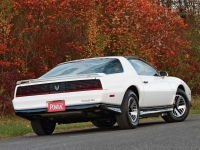 Pontiac Firebird Trans Am T-Roof Targa 2-door (3 generation) 5.0 AT image, Pontiac Firebird Trans Am T-Roof Targa 2-door (3 generation) 5.0 AT images, Pontiac Firebird Trans Am T-Roof Targa 2-door (3 generation) 5.0 AT photos, Pontiac Firebird Trans Am T-Roof Targa 2-door (3 generation) 5.0 AT photo, Pontiac Firebird Trans Am T-Roof Targa 2-door (3 generation) 5.0 AT picture, Pontiac Firebird Trans Am T-Roof Targa 2-door (3 generation) 5.0 AT pictures