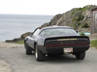 Pontiac Firebird Trans Am T-Targa Roof (2 generation) 6.6 MT (188hp) image, Pontiac Firebird Trans Am T-Targa Roof (2 generation) 6.6 MT (188hp) images, Pontiac Firebird Trans Am T-Targa Roof (2 generation) 6.6 MT (188hp) photos, Pontiac Firebird Trans Am T-Targa Roof (2 generation) 6.6 MT (188hp) photo, Pontiac Firebird Trans Am T-Targa Roof (2 generation) 6.6 MT (188hp) picture, Pontiac Firebird Trans Am T-Targa Roof (2 generation) 6.6 MT (188hp) pictures