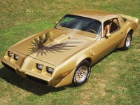 Pontiac Firebird Trans Am with 2-door (2 generation) 6.6 MT (223 HP) image, Pontiac Firebird Trans Am with 2-door (2 generation) 6.6 MT (223 HP) images, Pontiac Firebird Trans Am with 2-door (2 generation) 6.6 MT (223 HP) photos, Pontiac Firebird Trans Am with 2-door (2 generation) 6.6 MT (223 HP) photo, Pontiac Firebird Trans Am with 2-door (2 generation) 6.6 MT (223 HP) picture, Pontiac Firebird Trans Am with 2-door (2 generation) 6.6 MT (223 HP) pictures