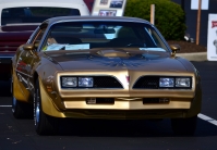 Pontiac Firebird Trans Am with 2-door (2 generation) 6.6 MT (223hp) image, Pontiac Firebird Trans Am with 2-door (2 generation) 6.6 MT (223hp) images, Pontiac Firebird Trans Am with 2-door (2 generation) 6.6 MT (223hp) photos, Pontiac Firebird Trans Am with 2-door (2 generation) 6.6 MT (223hp) photo, Pontiac Firebird Trans Am with 2-door (2 generation) 6.6 MT (223hp) picture, Pontiac Firebird Trans Am with 2-door (2 generation) 6.6 MT (223hp) pictures