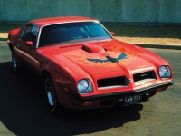 Pontiac Firebird Trans Am with 2-door (2 generation) 7.5 Hydra-Matic (290hp) avis, Pontiac Firebird Trans Am with 2-door (2 generation) 7.5 Hydra-Matic (290hp) prix, Pontiac Firebird Trans Am with 2-door (2 generation) 7.5 Hydra-Matic (290hp) caractéristiques, Pontiac Firebird Trans Am with 2-door (2 generation) 7.5 Hydra-Matic (290hp) Fiche, Pontiac Firebird Trans Am with 2-door (2 generation) 7.5 Hydra-Matic (290hp) Fiche technique, Pontiac Firebird Trans Am with 2-door (2 generation) 7.5 Hydra-Matic (290hp) achat, Pontiac Firebird Trans Am with 2-door (2 generation) 7.5 Hydra-Matic (290hp) acheter, Pontiac Firebird Trans Am with 2-door (2 generation) 7.5 Hydra-Matic (290hp) Auto