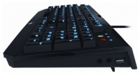 Razer BlackWidow Ultimate Black USB image, Razer BlackWidow Ultimate Black USB images, Razer BlackWidow Ultimate Black USB photos, Razer BlackWidow Ultimate Black USB photo, Razer BlackWidow Ultimate Black USB picture, Razer BlackWidow Ultimate Black USB pictures