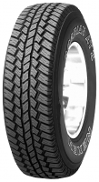Roadstone ROADIAN AT II 245/70 R17 108S image, Roadstone ROADIAN AT II 245/70 R17 108S images, Roadstone ROADIAN AT II 245/70 R17 108S photos, Roadstone ROADIAN AT II 245/70 R17 108S photo, Roadstone ROADIAN AT II 245/70 R17 108S picture, Roadstone ROADIAN AT II 245/70 R17 108S pictures