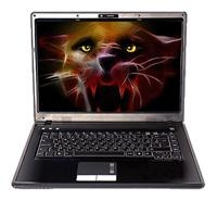 Roverbook RoverBook Pro 554 (Athlon X2 QL-62 2000 Mhz/15.4