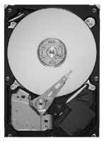 Seagate ST1000DL004 avis, Seagate ST1000DL004 prix, Seagate ST1000DL004 caractéristiques, Seagate ST1000DL004 Fiche, Seagate ST1000DL004 Fiche technique, Seagate ST1000DL004 achat, Seagate ST1000DL004 acheter, Seagate ST1000DL004 Disques dur