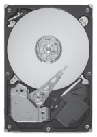 Seagate ST9300605FC avis, Seagate ST9300605FC prix, Seagate ST9300605FC caractéristiques, Seagate ST9300605FC Fiche, Seagate ST9300605FC Fiche technique, Seagate ST9300605FC achat, Seagate ST9300605FC acheter, Seagate ST9300605FC Disques dur