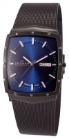 Skagen 396LTMN avis, Skagen 396LTMN prix, Skagen 396LTMN caractéristiques, Skagen 396LTMN Fiche, Skagen 396LTMN Fiche technique, Skagen 396LTMN achat, Skagen 396LTMN acheter, Skagen 396LTMN Montre