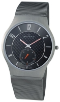 Skagen 805XLTTM avis, Skagen 805XLTTM prix, Skagen 805XLTTM caractéristiques, Skagen 805XLTTM Fiche, Skagen 805XLTTM Fiche technique, Skagen 805XLTTM achat, Skagen 805XLTTM acheter, Skagen 805XLTTM Montre