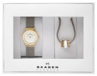 Skagen SKW1054 avis, Skagen SKW1054 prix, Skagen SKW1054 caractéristiques, Skagen SKW1054 Fiche, Skagen SKW1054 Fiche technique, Skagen SKW1054 achat, Skagen SKW1054 acheter, Skagen SKW1054 Montre