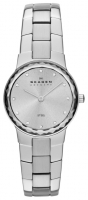 Skagen SKW2072 avis, Skagen SKW2072 prix, Skagen SKW2072 caractéristiques, Skagen SKW2072 Fiche, Skagen SKW2072 Fiche technique, Skagen SKW2072 achat, Skagen SKW2072 acheter, Skagen SKW2072 Montre