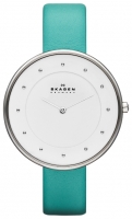 Skagen SKW2134 avis, Skagen SKW2134 prix, Skagen SKW2134 caractéristiques, Skagen SKW2134 Fiche, Skagen SKW2134 Fiche technique, Skagen SKW2134 achat, Skagen SKW2134 acheter, Skagen SKW2134 Montre