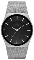 Skagen SKW6019 avis, Skagen SKW6019 prix, Skagen SKW6019 caractéristiques, Skagen SKW6019 Fiche, Skagen SKW6019 Fiche technique, Skagen SKW6019 achat, Skagen SKW6019 acheter, Skagen SKW6019 Montre