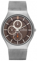 Skagen SKW6036 avis, Skagen SKW6036 prix, Skagen SKW6036 caractéristiques, Skagen SKW6036 Fiche, Skagen SKW6036 Fiche technique, Skagen SKW6036 achat, Skagen SKW6036 acheter, Skagen SKW6036 Montre