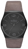 Skagen SKW6041 avis, Skagen SKW6041 prix, Skagen SKW6041 caractéristiques, Skagen SKW6041 Fiche, Skagen SKW6041 Fiche technique, Skagen SKW6041 achat, Skagen SKW6041 acheter, Skagen SKW6041 Montre