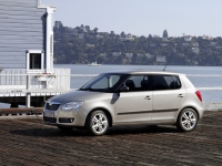 Skoda Fabia Hatchback (5J) 1.4 TDI DPF MT (80 HP) image, Skoda Fabia Hatchback (5J) 1.4 TDI DPF MT (80 HP) images, Skoda Fabia Hatchback (5J) 1.4 TDI DPF MT (80 HP) photos, Skoda Fabia Hatchback (5J) 1.4 TDI DPF MT (80 HP) photo, Skoda Fabia Hatchback (5J) 1.4 TDI DPF MT (80 HP) picture, Skoda Fabia Hatchback (5J) 1.4 TDI DPF MT (80 HP) pictures