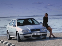 Skoda Octavia Liftback (1 generation) 1.8 T MT 4x4 (150 HP) image, Skoda Octavia Liftback (1 generation) 1.8 T MT 4x4 (150 HP) images, Skoda Octavia Liftback (1 generation) 1.8 T MT 4x4 (150 HP) photos, Skoda Octavia Liftback (1 generation) 1.8 T MT 4x4 (150 HP) photo, Skoda Octavia Liftback (1 generation) 1.8 T MT 4x4 (150 HP) picture, Skoda Octavia Liftback (1 generation) 1.8 T MT 4x4 (150 HP) pictures