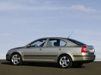 Skoda Octavia Liftback 5-door (2 generation) 1.9 TDI DPF DSG (105 HP) image, Skoda Octavia Liftback 5-door (2 generation) 1.9 TDI DPF DSG (105 HP) images, Skoda Octavia Liftback 5-door (2 generation) 1.9 TDI DPF DSG (105 HP) photos, Skoda Octavia Liftback 5-door (2 generation) 1.9 TDI DPF DSG (105 HP) photo, Skoda Octavia Liftback 5-door (2 generation) 1.9 TDI DPF DSG (105 HP) picture, Skoda Octavia Liftback 5-door (2 generation) 1.9 TDI DPF DSG (105 HP) pictures